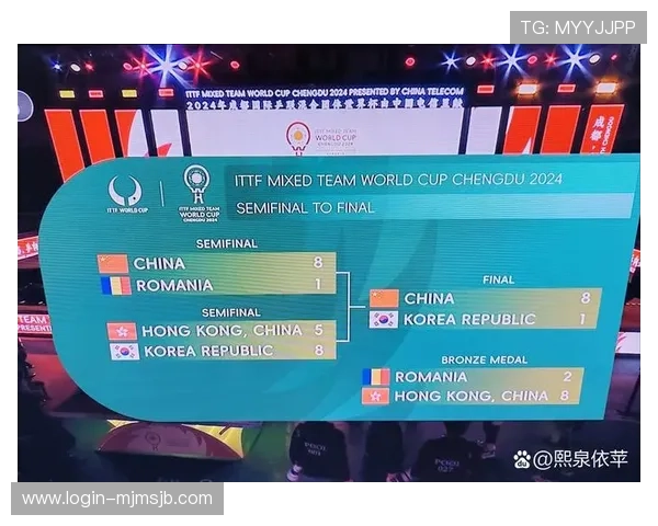 乒乓球世界杯的举办频率与周期变化,了解不同赛事的时间安排和历史演变