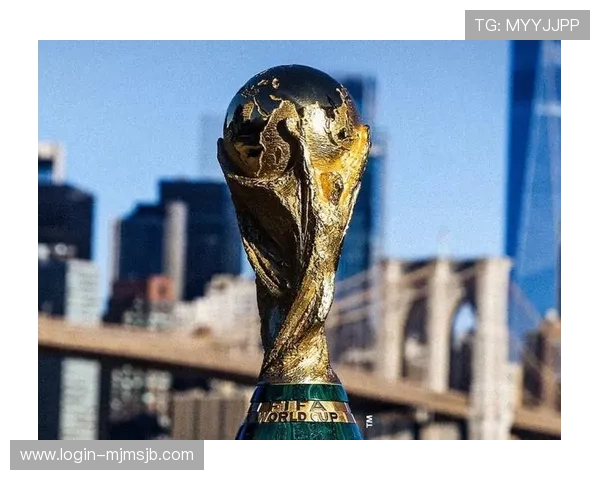 2026年FIFA世界杯门票购买指南与购票流程详细解读